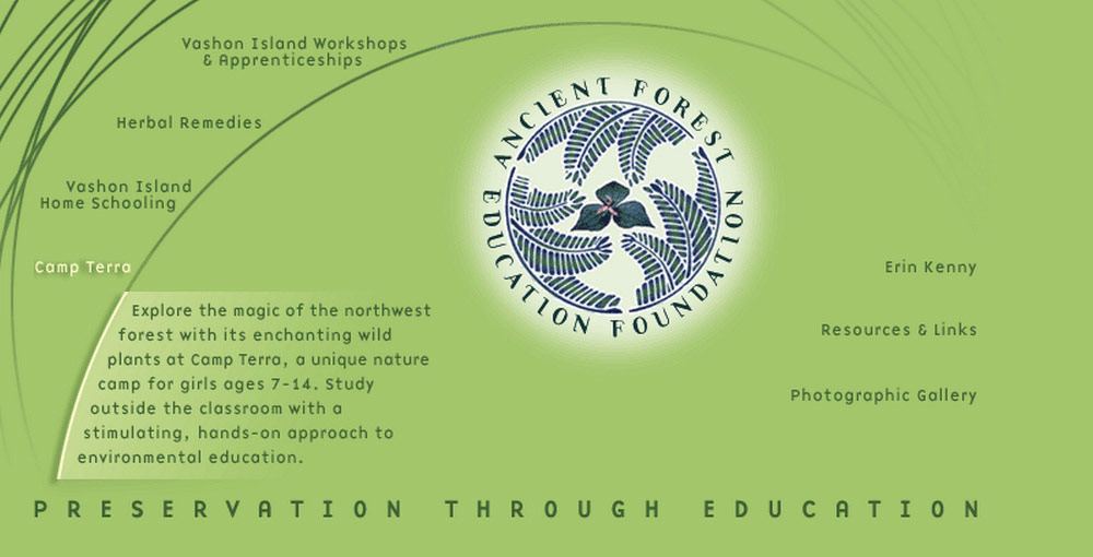 Ancient Forest Education Foundation